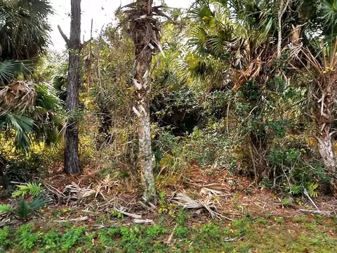 Vogler Lane, North Port, FL 34286