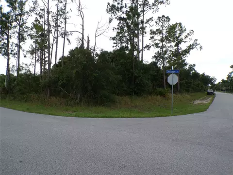 Chickasaw Avenue, North Port, FL 34288