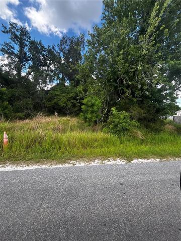 Lee Street, Bowling Green, FL 33834