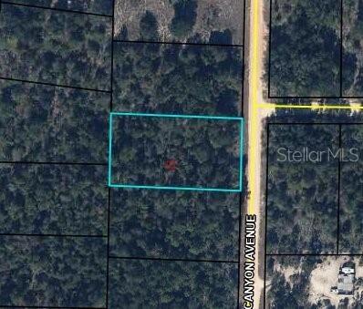 0 Canyon Ave, Alford, FL 32420