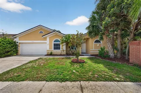 11318 Pocket Brook Dr, Tampa, FL 33635