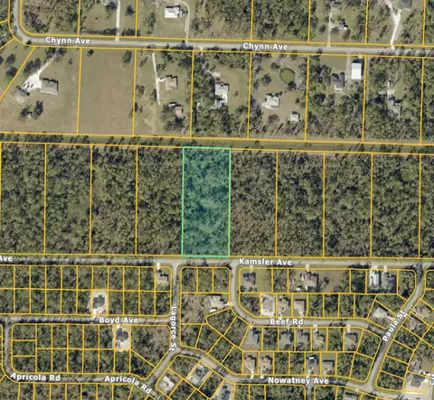 Kamsler Avenue, North Port, FL 34286