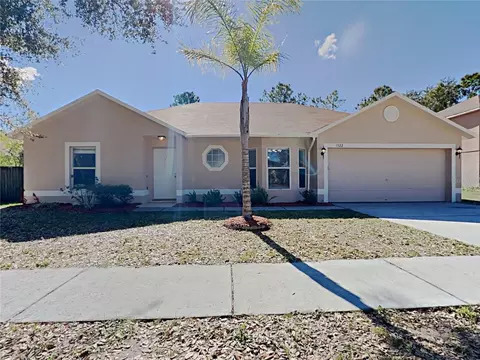 1322 Dragon Head Dr, Valrico, FL 33594