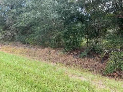 21971 NW 260th St, Okeechobee, FL 34972 photo 3