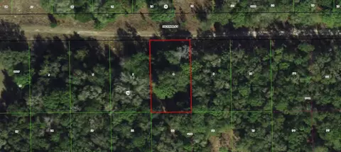 1913 Falkner St, Inverness, FL 34453