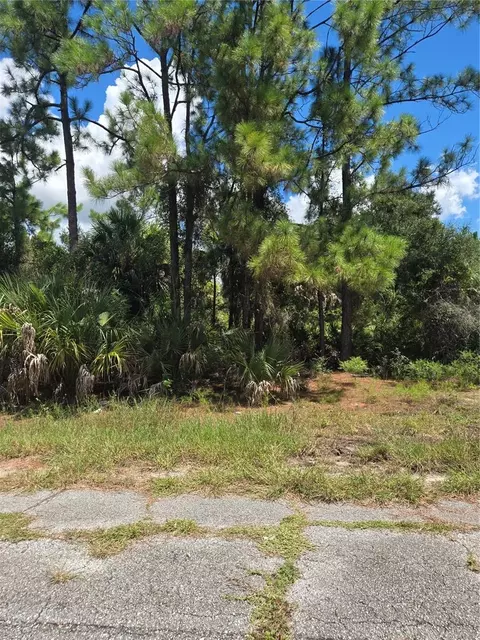 Nance Street, North Port, FL 34288