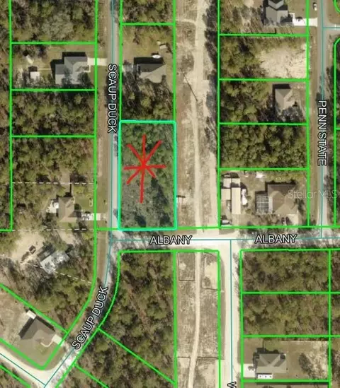 12421 Albany Rd, Weeki Wachee, FL 34614