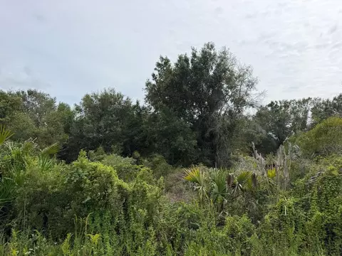 14616 NW 260th St, Okeechobee, FL 34972 photo 4
