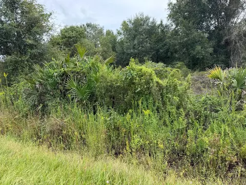 14616 NW 260th St, Okeechobee, FL 34972 photo 3