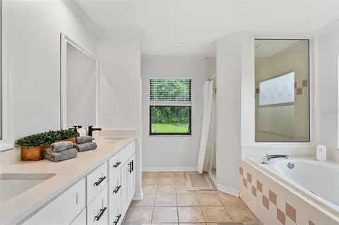 Bath - 4616 Ackerly Way, Brandon, FL 33511 photo 8 of 14