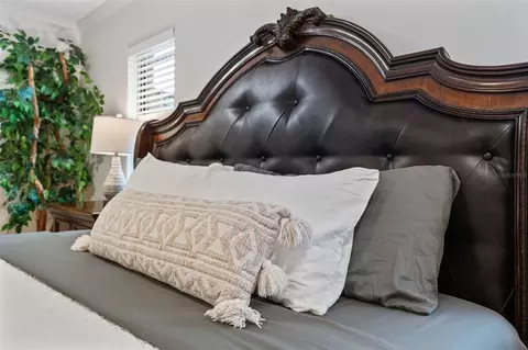 Bedroom - 4616 Ackerly Way, Brandon, FL 33511 photo 19 of 20