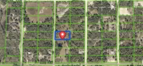 7490 Castleberry Dr, Webster, FL 33597 photo 1