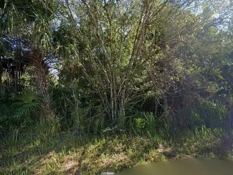 6006 Terry Ave N, Lehigh Acres, FL 33971