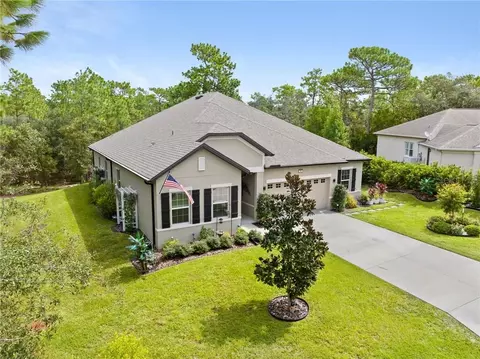 Other - 16 Elder Ct E, Homosassa, FL 34446 photo 1 of 21
