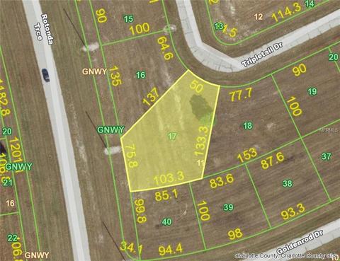 12363 Tripletail Dr, Placida, FL 33946 photo 1