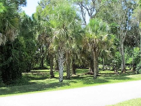 10111 Creekside Dr, Placida, FL 33946 photo 1