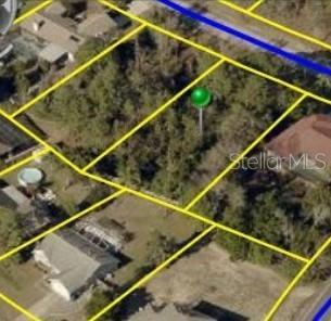 13076 Oneida St, Spring Hill, FL 34609 photo 1