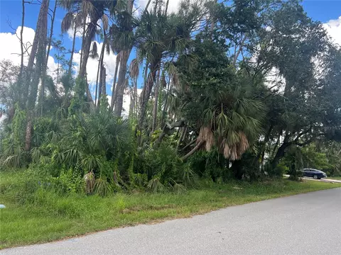 13502 Goodrich Ave, Port Charlotte, FL 33953