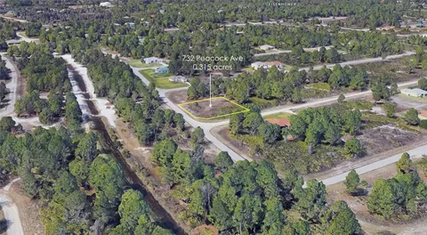 732 Peacock Ave, Lehigh Acres, FL 33974