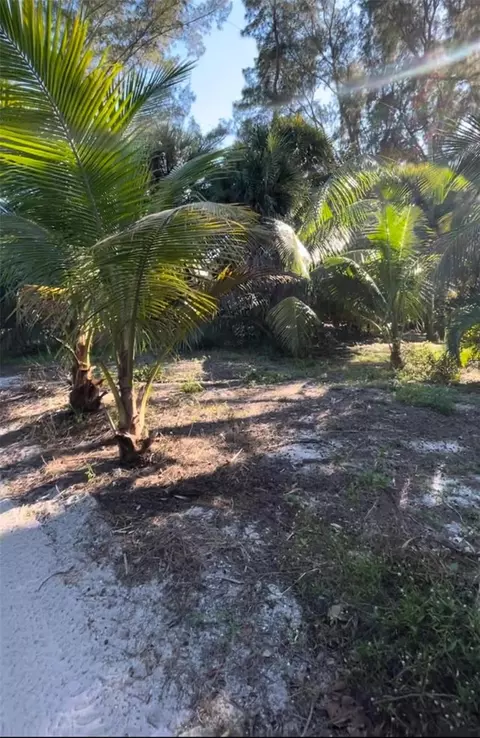 8508 Little Gasparilla Is, Placida, FL 33946