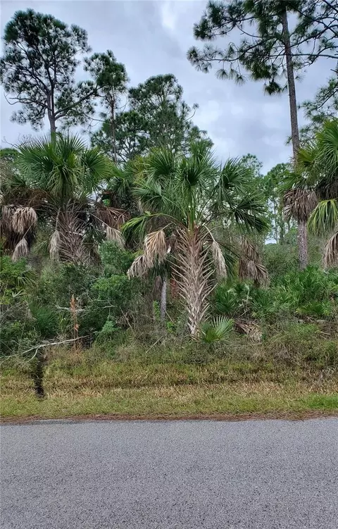 13361 Johannes Ave, Port Charlotte, FL 33953