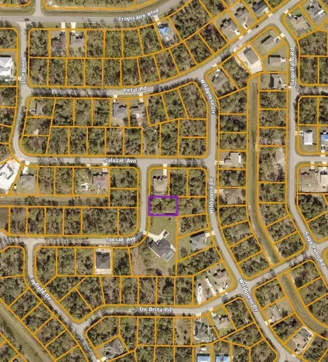 Spisak Avenue, North Port, FL 34291