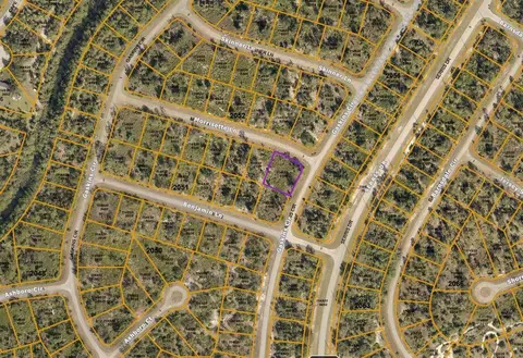 Morrisette Lane, North Port, FL 34288