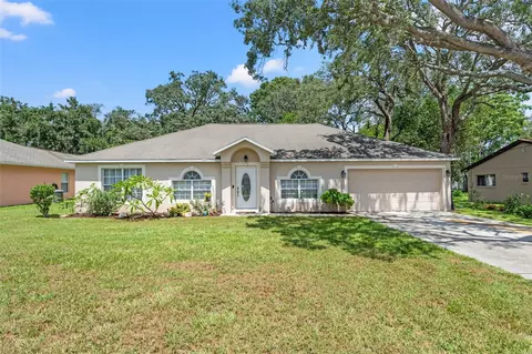 7313 Lindhurst St, Spring Hill, FL 34606