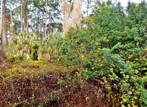Daphne Road, North Port, FL 34288