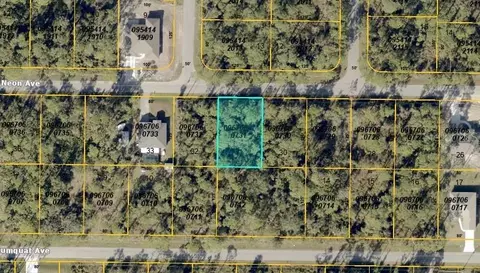 Neon Avenue, North Port, FL 34291
