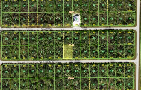 14202 Bethel Ave, Port Charlotte, FL 33953