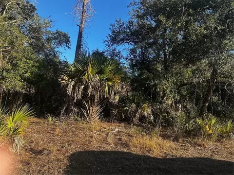 Lanai Avenue, North Port, FL 34288