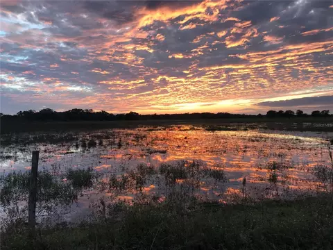 313 Gator Aly, Lake Wales, FL 33898 photo 8