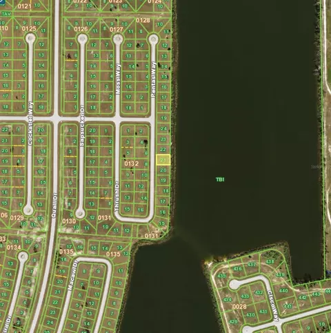 41 Thrush Dr, Placida, FL 33946 photo 3