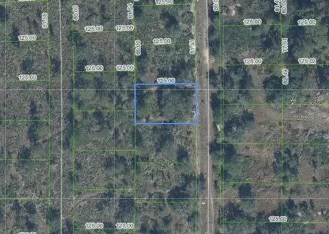 4021 Palermo Ave, Sebring, FL 33872 photo 2