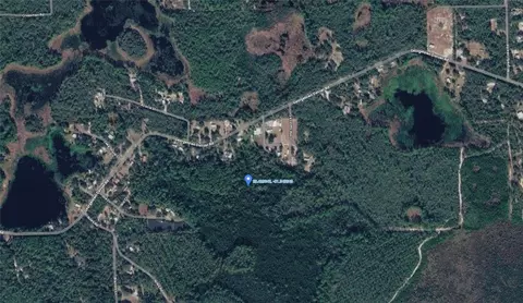 Georgetown Denver Point Road, Georgetown, FL 32139 photo 3