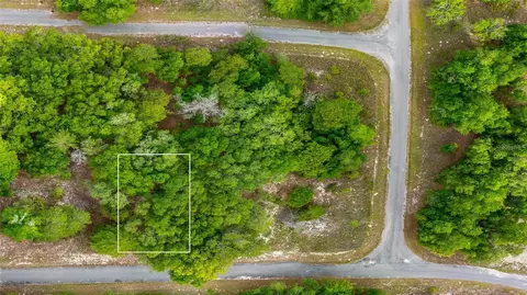 Magnolia Drive, Ocklawaha, FL 32179