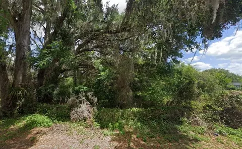 NW 2nd, Webster, FL 33597 photo 4