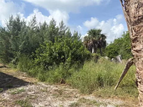 8990 Seagrape Ln, Placida, FL 33946 photo 2