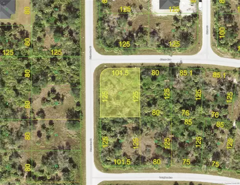 12085 Alamo Ave, Port Charlotte, FL 33981