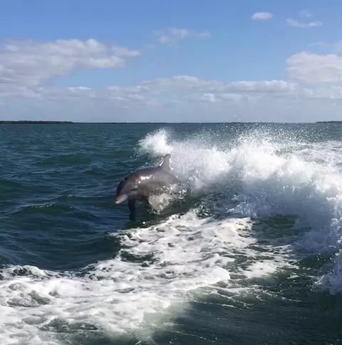Other - 9602 Doubloon Trl, Placida, FL 33946 photo 10 of 10