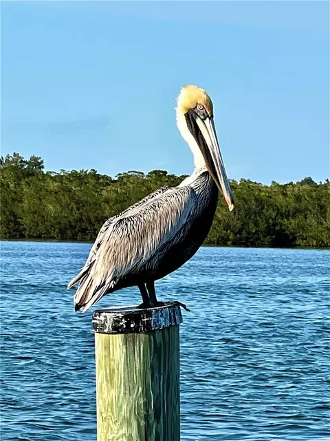 Other - 9602 Doubloon Trl, Placida, FL 33946 photo 6 of 10