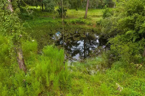 1220 NE 342nd Trl, Okeechobee, FL 34972 photo 8