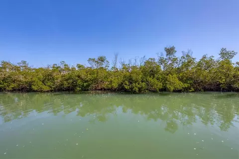 View/Area - 310 Kettle Harbor Dr, Placida, FL 33946 photo 5 of 9