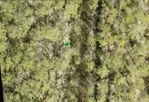 No Street, Lake Helen, FL 32744