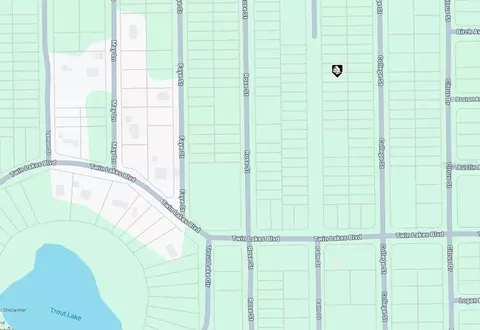 Palm St, Interlachen, FL 32148 photo 4