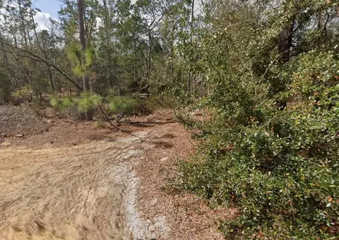 Palm St, Interlachen, FL 32148 photo 5