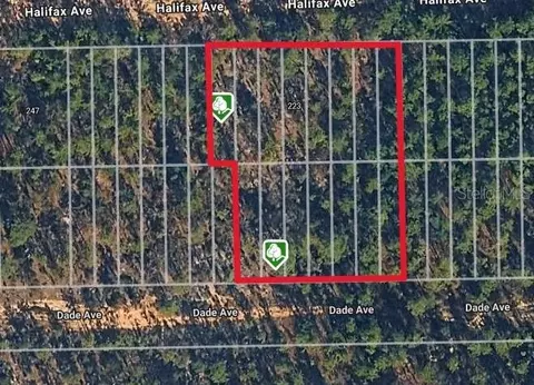 Dade Ave, Interlachen, FL 32148 photo 2