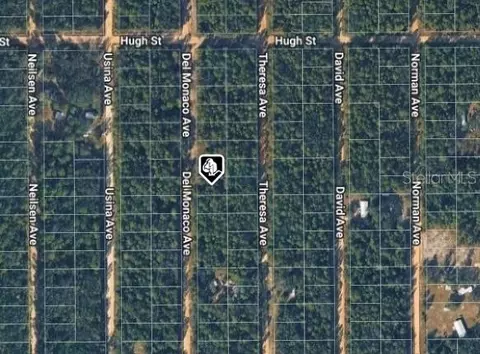 920 Del Monaco Ave, Interlachen, FL 32148 photo 3