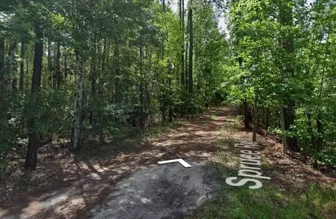 Spruce Road, Interlachen, FL 32148 photo 4